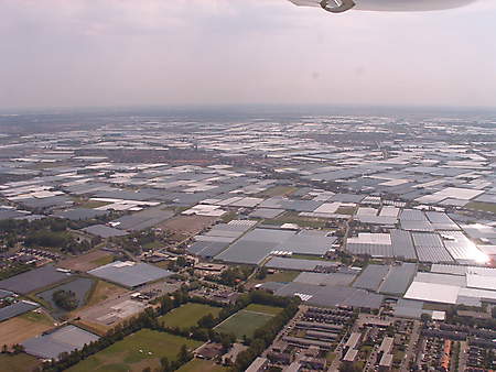 Dutch glasshouses