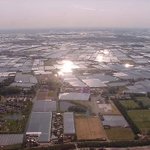 Dutch glasshouses
