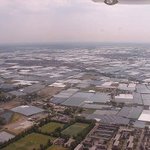 Dutch glasshouses