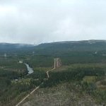 Ljørdalen bush strip