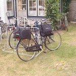 Texel airfield transport